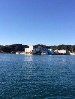勝浦漁港　湾内で潮がよく流れているところを通すとヒラメの釣果