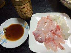 煙樹ヶ浜　ショアジギングのジグにヒットしたのはコロダイ