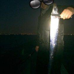 武庫川尻一文字　ドジョウテンヤのタチウオは良型サイズが狙えます