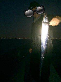 武庫川尻一文字　ドジョウテンヤのタチウオは良型サイズが狙えます