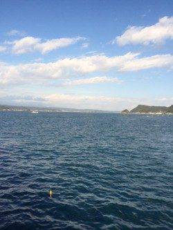 串本港ショアジギング　地磯は強風で釣りにならず湾内でモンゴイカ釣れました