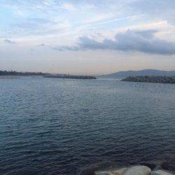 江井ヶ島　メバリングでガシラの26cm