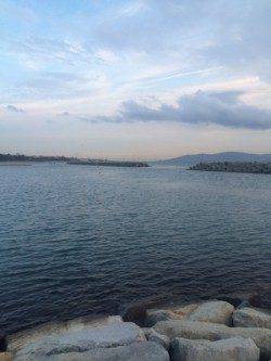 江井ヶ島　メバリングでガシラの26cm