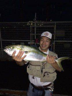 マリーナシティ海釣り公園　アジののませにハマチがヒット