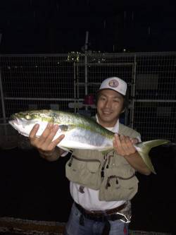 マリーナシティ海釣り公園　アジののませにハ…