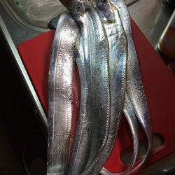 武庫川一文字タチウオワインド　4時に到着するも船乗り場にはすでに長い列