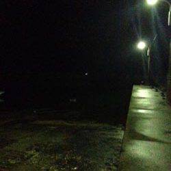 戸坂・塩津漁港　小雨降る中のアジングでアジ狙いも2匹のみ