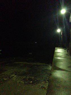 戸坂・塩津漁港　小雨降る中のアジングでアジ狙いも2匹のみ