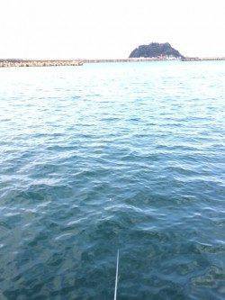 香住東港　のべ竿でサヨリ釣りを楽しみました