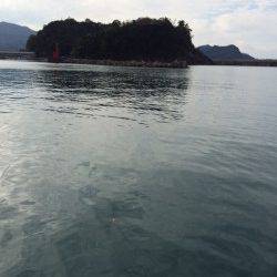 香住東港サヨリと豆アジ　釣れてる人とそうでない人の差が極端でした