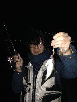 舞洲にてアジング　豆アジとキビレの釣果