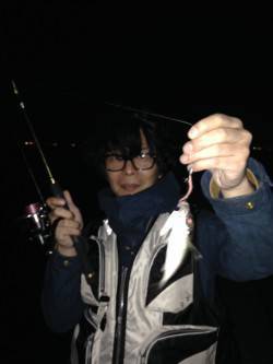 舞洲にてアジング　豆アジとキビレの釣果