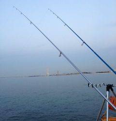 カレイ狙いで樽井へ釣行　久しぶりのカレイは最高の嬉しさ♫