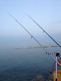 カレイ狙いで樽井へ釣行　久しぶりのカレイは最高の嬉しさ♫