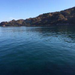 柴山港　最近下降気味のサヨリ釣り