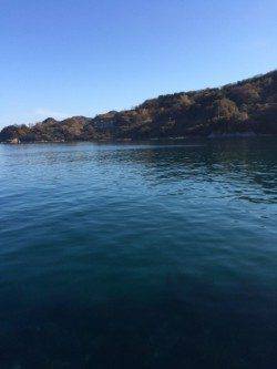 柴山港　最近下降気味のサヨリ釣り