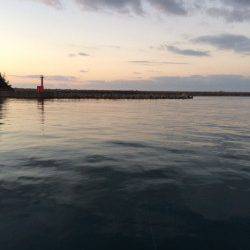 香住東港　のべ竿でサヨリ・アジ　ウキ下が深くウキでアタリとりました