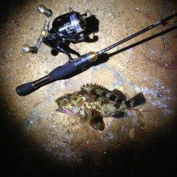 林崎漁港　アジング、ガシリングで五魚種達成