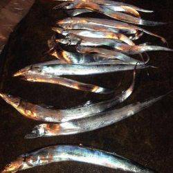 中島　 浮き釣り、引き釣り、ワインドでタチウオ16尾の釣果