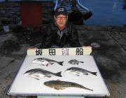 黒島の筏　魚種豊富な釣果出てます☆