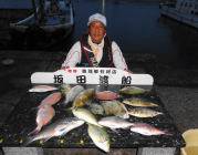 黒島の筏　魚種豊富な釣果出てます☆