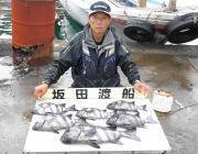黒島の磯　イシダイの釣果出てます