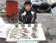 黒島の磯　ヤエンでアオリイカ、新子〜0.5kgサイズ