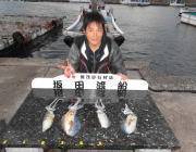 黒島の磯　ヤエンでアオリイカ、新子〜0.5…