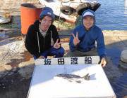 黒島の筏　ヤエンでアオリイカ1.3kgが上がりました☆