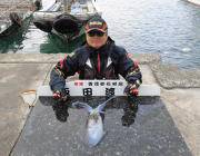 黒島の磯　ヤエンでアオリイカ0.9kg