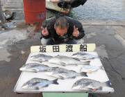 黒島の筏でチヌ〜45cm6匹とコロダイ51…