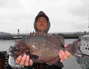 黒島の磯　大きいイシガキダイが釣れました☆…