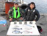 黒島の筏チヌ・サンバソウ・マダイ　黒島の磯ではヤエンでアオリイカ