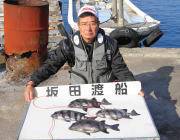 黒島の磯　ウニをエサに底物狙い、イシダイ4…