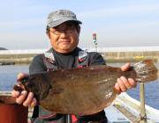 黒島の磯　のませ釣りでヒラメ57cmの釣果…