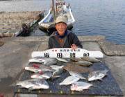 黒島の筏　チヌ・アイゴ・へダイ・ヒラメ、良…