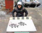 黒島の磯の底物釣果　サンバソウを2枚