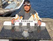 黒島の筏、黒島の磯　ヤエンでのアオリイカ釣果