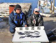 鷹島のカンドリ　グレ20～35㎝ 24匹！