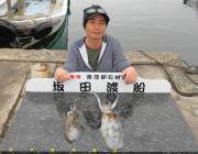 黒島の筏にてエギングでアオリイカ　磯でのヤ…