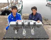 黒島の筏にてエギングでアオリイカ　磯でのヤエンでも釣果あり