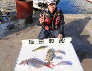 黒島の筏　シラサでマダイ４枚、オキアミで良…