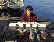 黒島の磯　ヤエンでアオリイカ0.8㎏のいい…