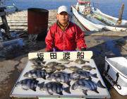 黒島の磯　イシダイの釣果出てます。