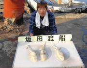 黒島の磯　ヤエンでアオリイカ1.2kg　エギングでも釣れてます