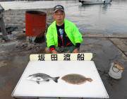 黒島の筏　チヌのほかヒラメも釣果ありました…