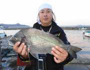 黒島の筏　チヌのほかヒラメも釣果ありました
