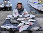 黒島の筏　チヌ・マダイ・マゴチなど良型の魚…