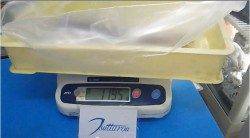 すさみ町名切崎の地磯　エギングでアオリイカキロオーバー