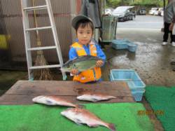 釣り堀でお見事！立派なシマアジです！